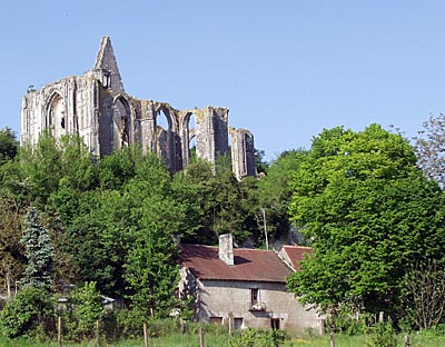 Die Klosterruine