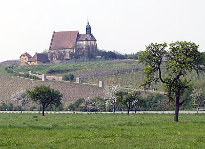 St. Maria im Weingarten