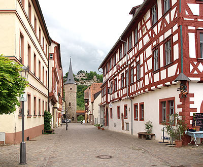 Karlstadt: Blick auf die Burgruine Karlburg