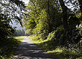 Idyllischer Weg