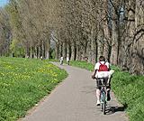 Mitfahrer im K&ouml;rbchen