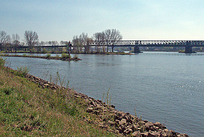 Mainmündung in den Rhein