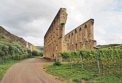 Ruine Kloster Stuben