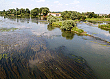 Blick von der Br&uuml;cke auf die M&uuml;hle