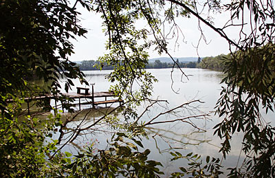 "Etang de St-Remy"