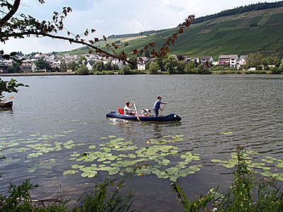Mosel bei Mehring