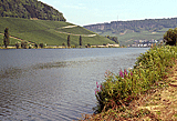 Zwischen Wormeldange und Nittel