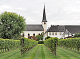 Kirche in Longuich