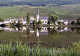 Piesport vor den Weinbergen