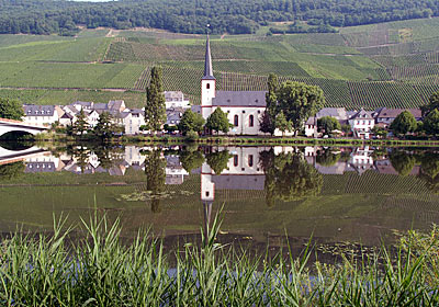 Piesport vor den Weinbergen