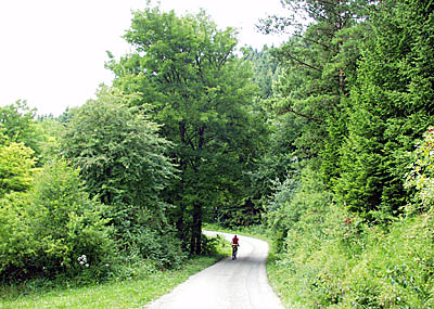 Im Wald