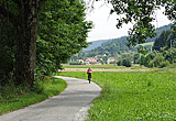 Landschaft