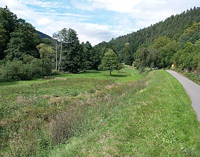 Nagoldtal - Schwarzwald pur