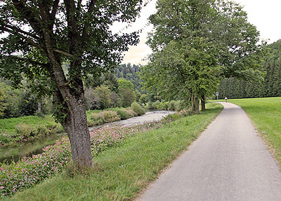 Radweg direkt am Neckar