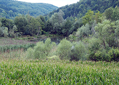 Weiher im Neckartal