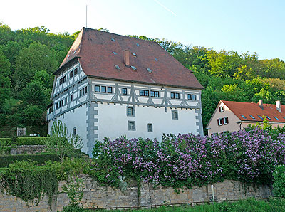 Schloss Neckarburg