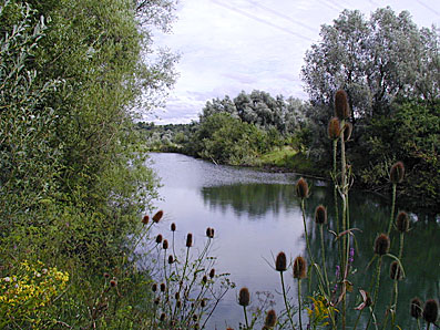 Naturschutzgebiet