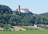 Blick auf Burg Guttenberg