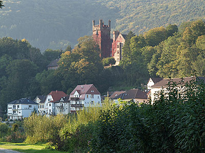 Blick auf Neckarsteinach
