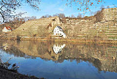 Spiegelnder Neckar