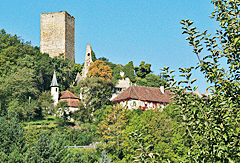 Burg Heinsheim