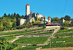 Die Burg Hornberg