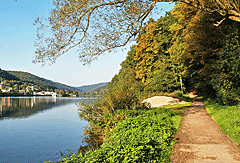 Uferweg vor Neckarsteinach