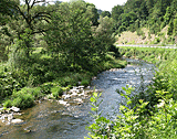 Der kleine Fluss Eyach