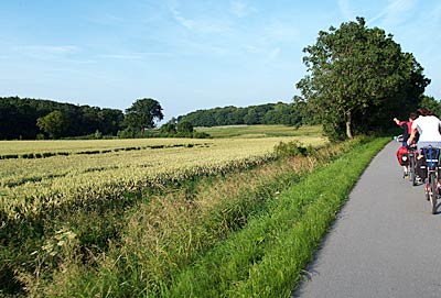 Ostseeküstenradweg: Radweg nach Olpenitz