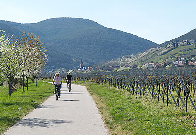 Radwege Südpfalz: Radweg nach St. Martin