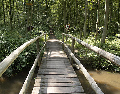 Holzbrücke am Weg
