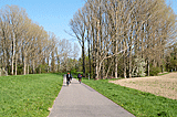 Radweg auf die Rheinbr&uuml;cke