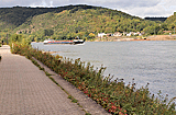 Radweg am Rheinufer