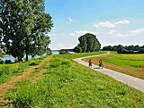 Radweg am Rhein