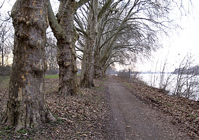 Rheintalradweg: Romanischer Dom von der S&uuml;dseite