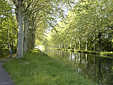 Baumalleen entlang dem Kanal
