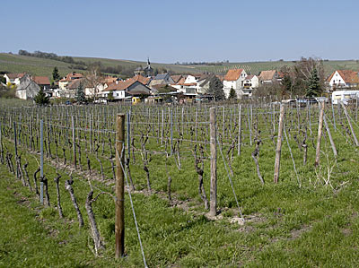 Ludwigsh&ouml;he