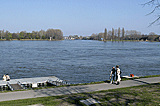 Rheintalradweg: Autobahnbr&uuml;cke bei Laubenheim