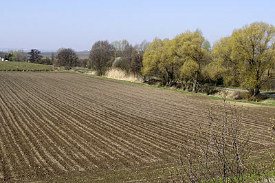 Rheintalradweg: Blick in die Pfalz