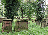 Judenfriedhof in Worms
