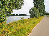 Leinpfad am Rhein