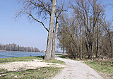 Radweg direkt am Rhein