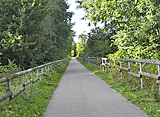 Radweg am Wald entlang