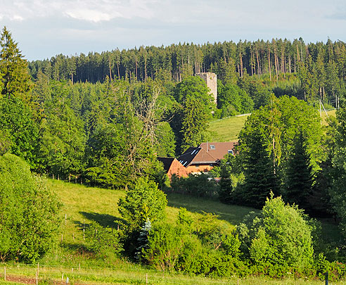Entlang der Burg Waldau