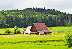 Schwarzwaldausläufer