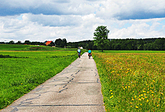 Waldhauser Weg