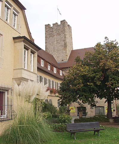 Burg Lauffen in Lauffen am Neckar