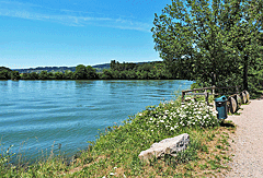 Mündung in den Rhein