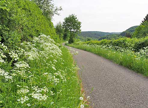 Radweg durch die Eifel: Auf dem Kyllradweg von Dahlem nach Bitburg