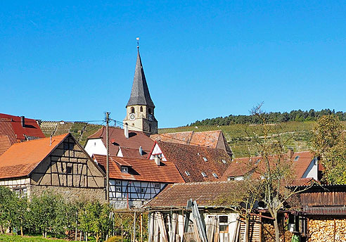 Der Kirchturm von Roßwag überragt den alten Weinort